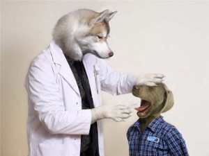 veterinario